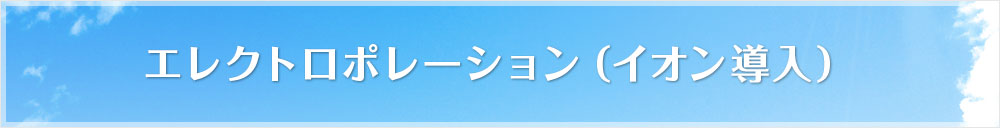 エレクトロポレーション(イオン導入)